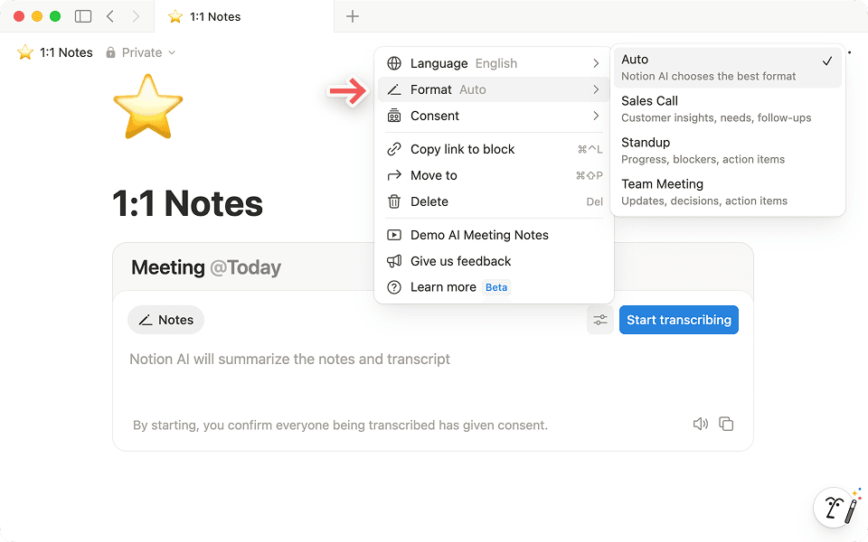 Choose the format option for your meeting so Notion AI can organize your conversation more effectively.