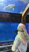 Profile picture of Sabill